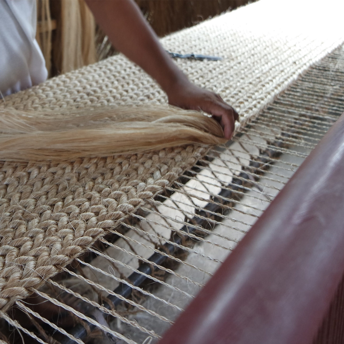 Abaca – Biobject
